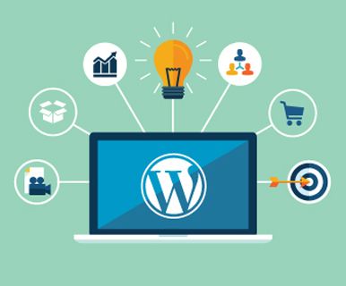 Best WordPress Development Services Company In Delhi India